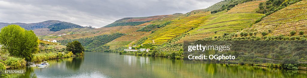 Viñedos y terraza Olivares a lo largo del río duero.