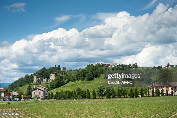 vigneti, ruttars, collio, friuli, italia - friuli foto e immagini stock