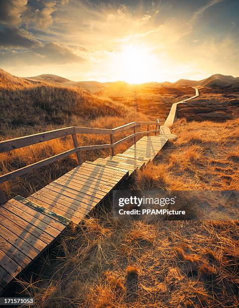 camino a través de las dunas - mar de wadden fotografías e imágenes de stock