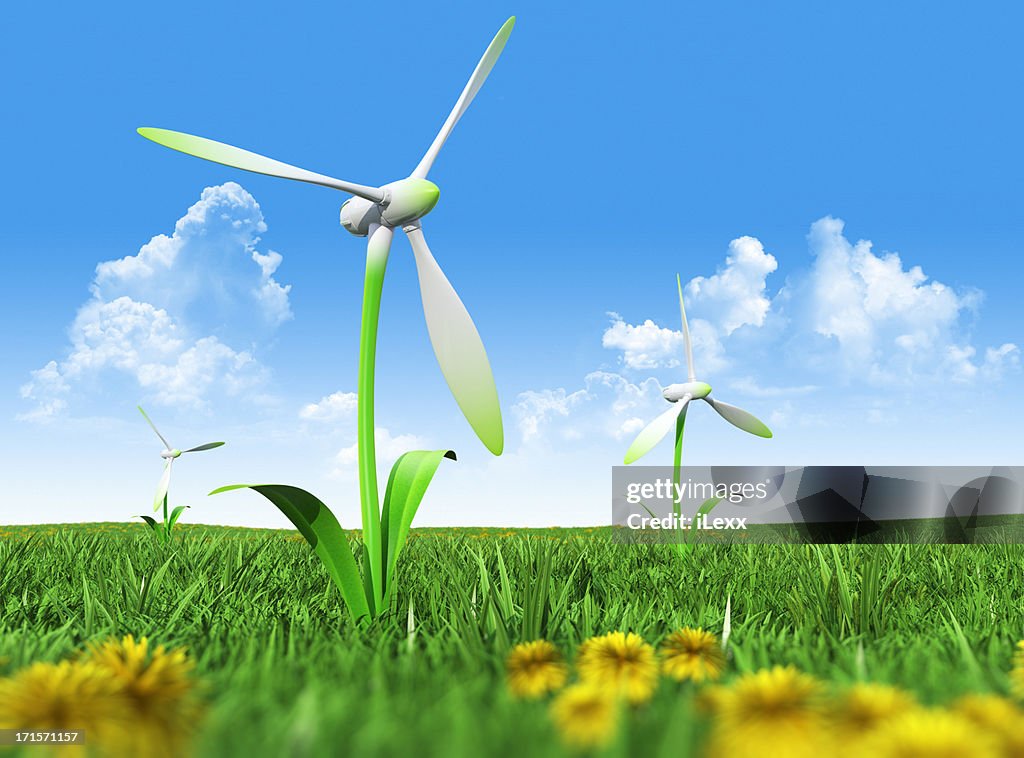 Green energy. Nature friendly technologies