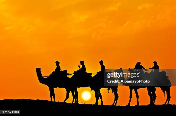 silhouette of camel caravan in the desert at sunset (xvi) - camel train stock pictures, royalty-free photos & images