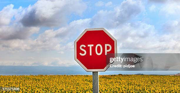 stoppschild - stopschild stock-fotos und bilder