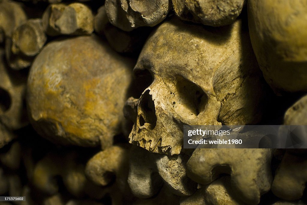 Human Skulls in "Le Catacombs" Paris