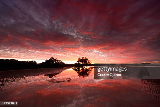 rural australian wetlands - outback queensland stock pictures, royalty-free photos & images