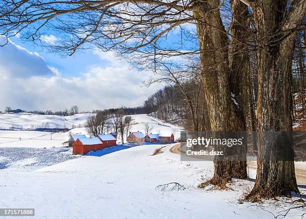 snowy new england countryside in the winter - sugar maple stock pictures, royalty-free photos & images