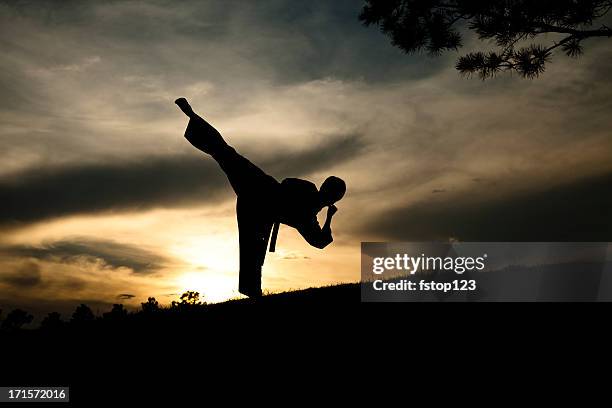 woman in silhouette practicing martial arts, karate. sunset. outdoors. sky. - vechtkunst stockfoto's en -beelden