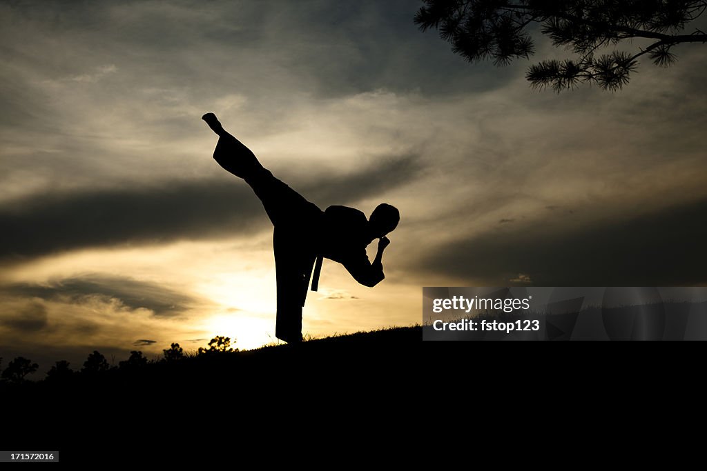 Mulher em prática, de silhueta de artes marciais karate. Pôr do sol. Ao ar livre. Céu.
