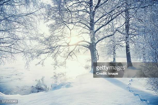 winter in sweden - winter stockfoto's en -beelden