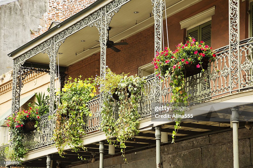 Verde sul balcone nel Quartiere Francese, New Orleans, Louisiana