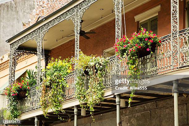 greenery on the balcony in french quarter, new orleans, louisiana - bourbon street stock pictures, royalty-free photos & images