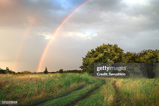 Spring Night Rain 42 Happy Rain On A Spring Night Stock Photos, High-Res Pictures, and ...