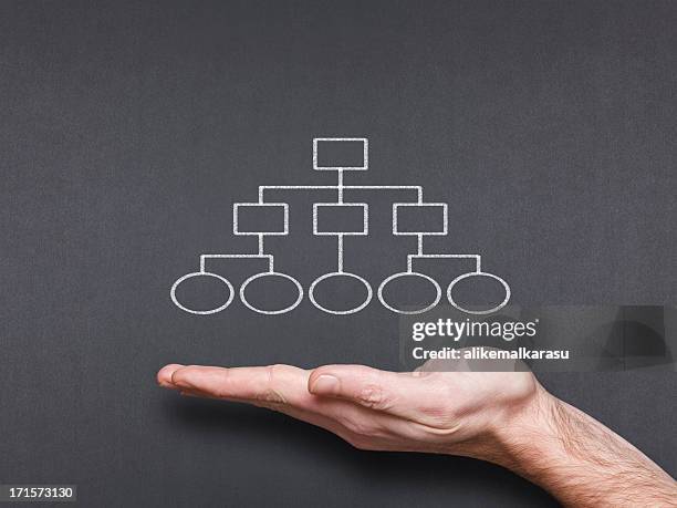 chalkboard com mão e diagrama de negócios relacionados - organograma - fotografias e filmes do acervo