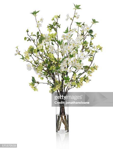 large spring bouquet with green and white flowers on white background - vaas stockfoto's en -beelden