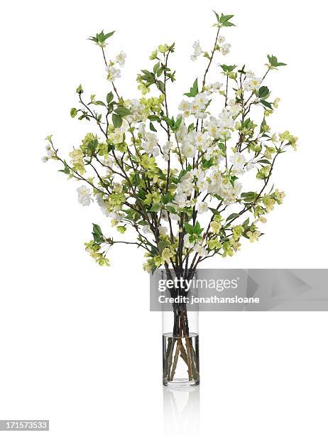 large spring bouquet with green and white flowers on white background - bouquet of white flowers stock pictures, royalty-free photos & images