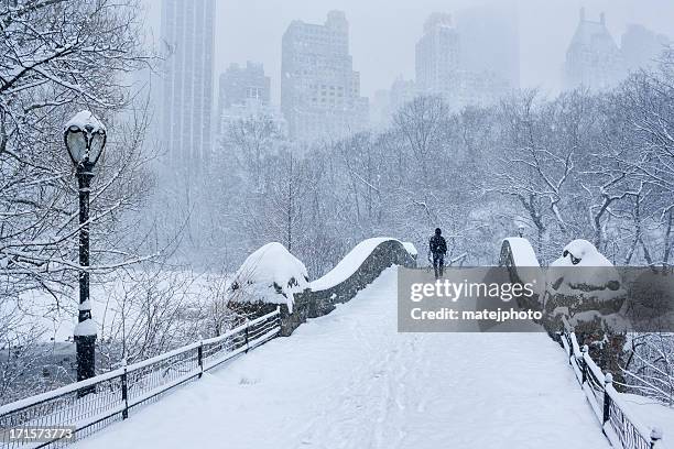 gapstow bridge central park snowstorm - central park snow stock pictures, royalty-free photos & images