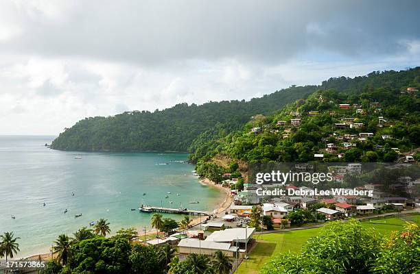 community on side of the mountain - trinidad and tobago stock pictures, royalty-free photos & images