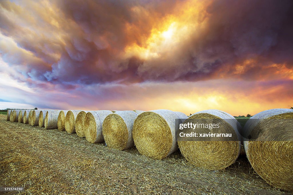 Burning in Emporda