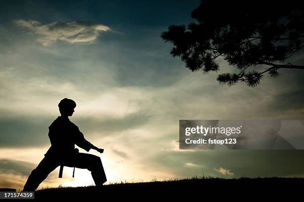 silhouette donna in pratica arti marziali karate., tramonto.  aria aperta.  cielo. - kung fu foto e immagini stock