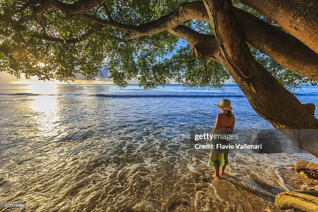 Paynes Bay, Barbados