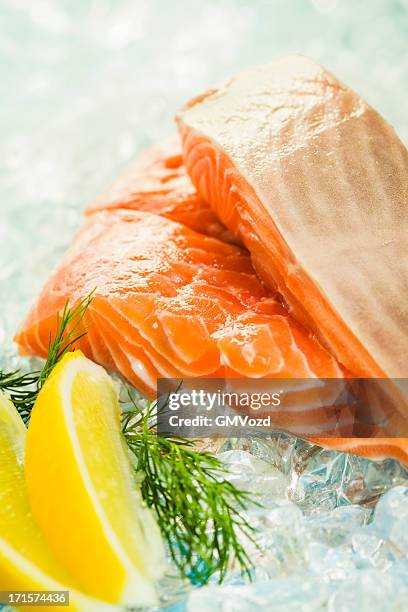 salmon - fresh fish stockfoto's en -beelden