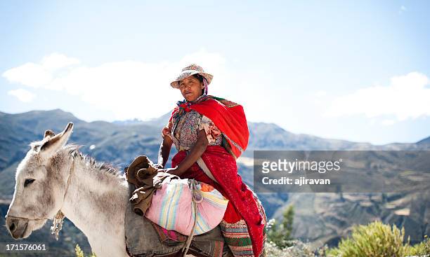 woman on a donkey - peruvian culture 個照片及圖片檔