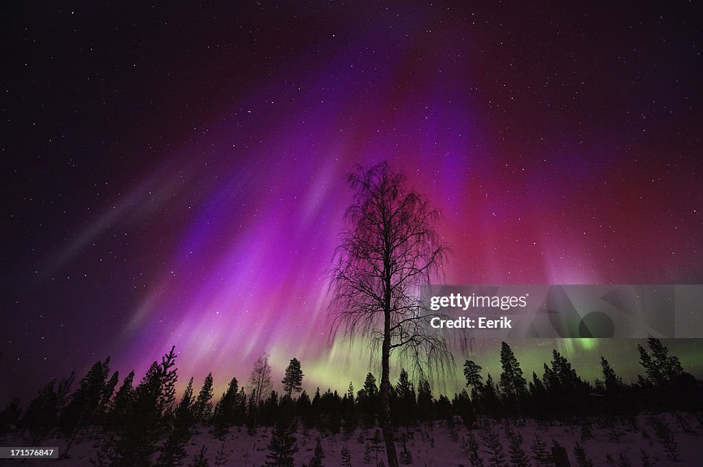 Aurora Borealis, Northern lights