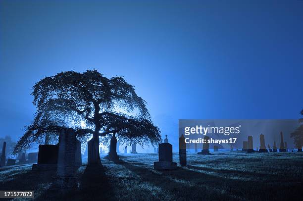 foggy backlit graveyard - spooky graveyard stock pictures, royalty-free photos & images