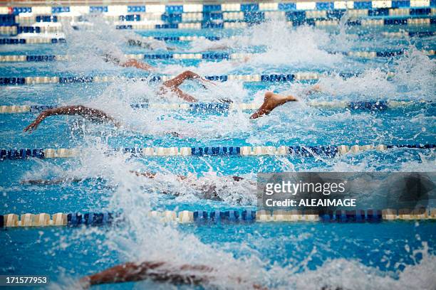 swimmers - competition group stock pictures, royalty-free photos & images