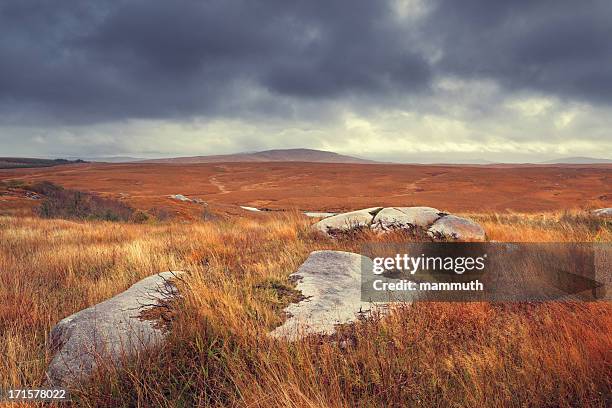 dramático donegal - bog - fotografias e filmes do acervo