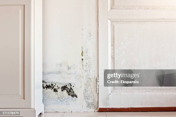 mouldy mold stains on damp door and wall behind cabinet - schimmel stockfoto's en -beelden