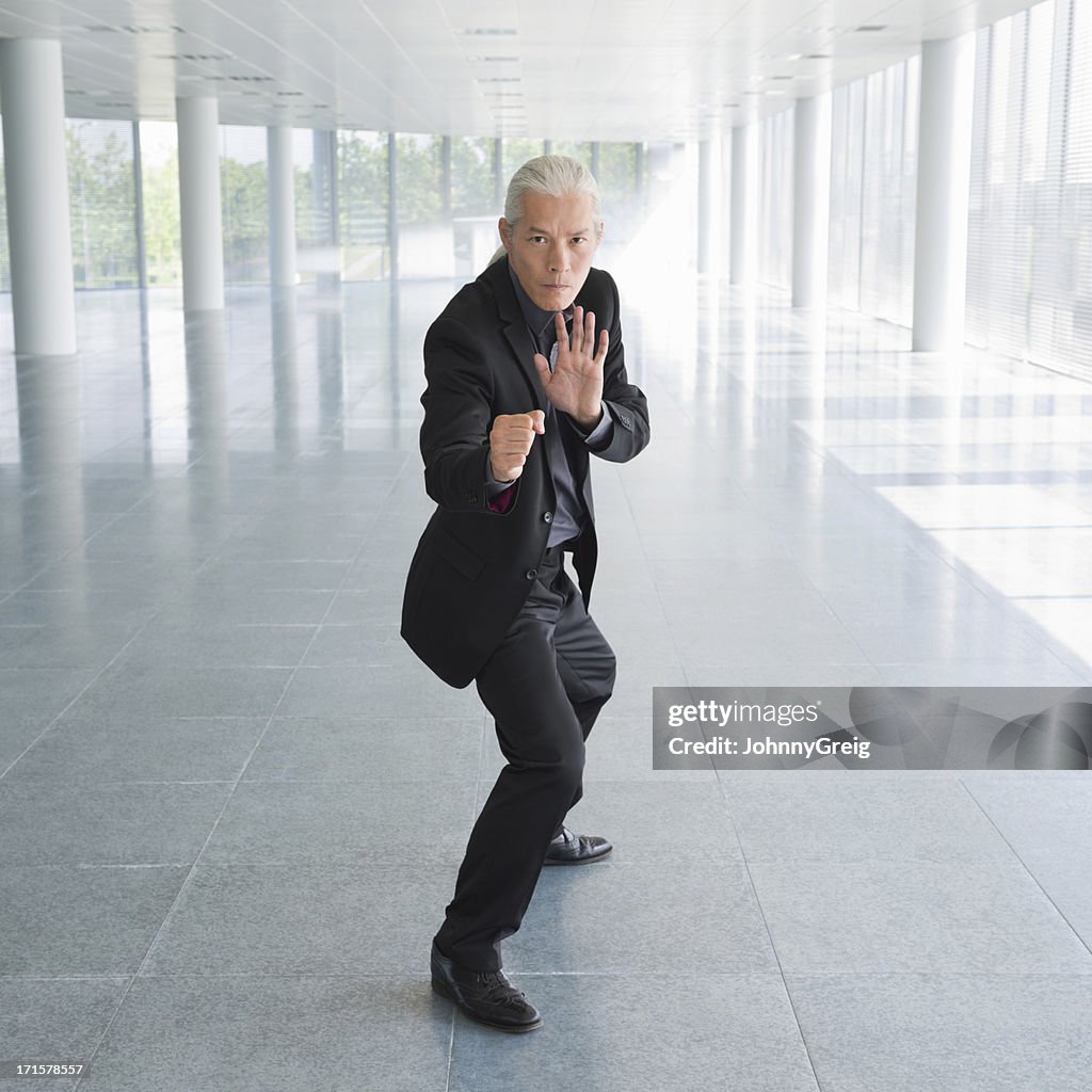 Businessman In Martial Arts Fighting Stance