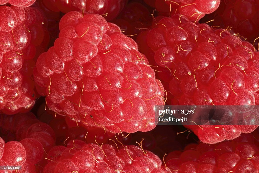 Frambuesas rojas (Rubus idaeus)