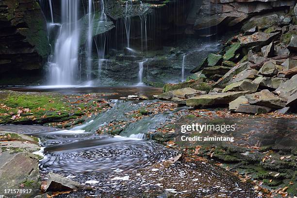 wasserfälle in fluss blackwater river - monongahela national forest stock-fotos und bilder