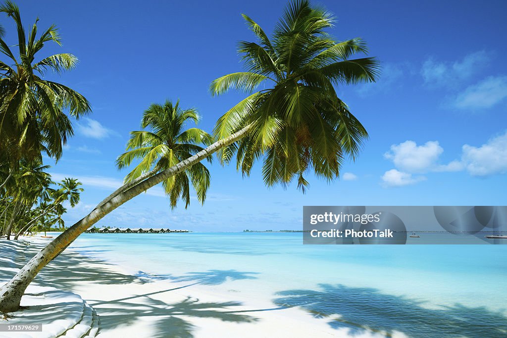 Beautiful Beach Resort