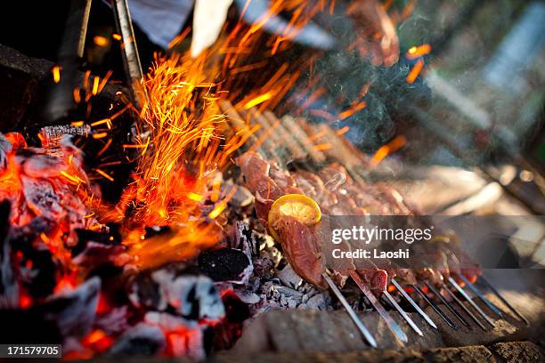 kebabs on barbecue - grill fire meat stock pictures, royalty-free photos & images