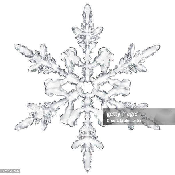 snowflake - snowflakes stockfoto's en -beelden