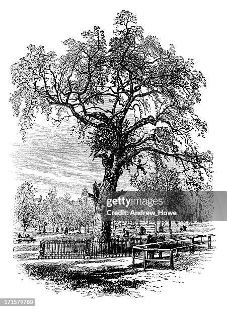 boston common engraving - beacon hill boston stock illustrations