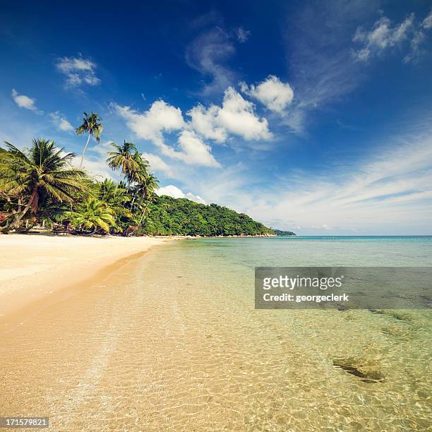 idyllic tropical beach in south east asia - terengganu stockfoto's en -beelden