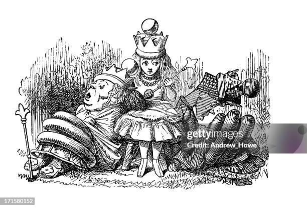 alice - through the looking glass - alice stock illustrations