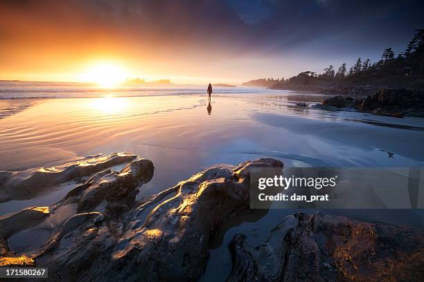 coastal sogno - tofino foto e immagini stock