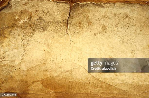 papel grunge vintage - pergaminho imagens e fotografias de stock