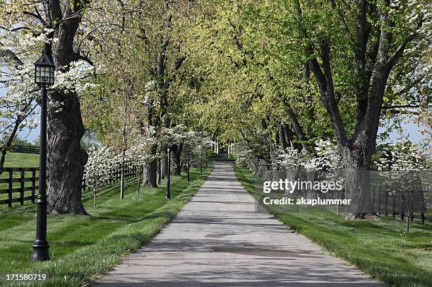 floral entrance to a horse farm - kentucky farm stock pictures, royalty-free photos & images