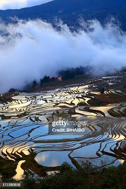 yuanyang terraced fields - yuanyang stockfoto's en -beelden