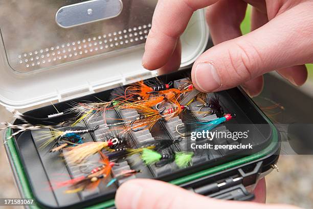 choosing a fly for fishing - vishaak visgerei stockfoto's en -beelden