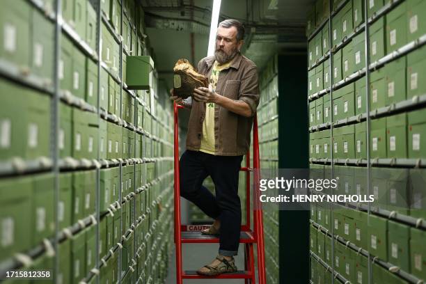 Fungarium Collections Manager Lee Davies inspects a fungus sample stored within the Fungarium at the Royal Botanic Gardens in Kew, west London, on...