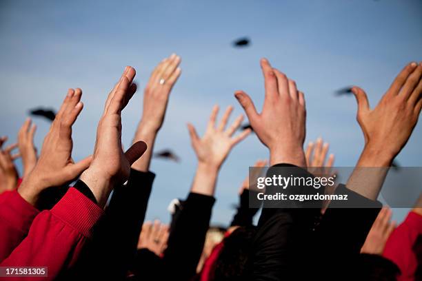 Hand Up Behaviour 5,614 Protest Hands Up Stock Photos, High-Res Pictures, and Images ...