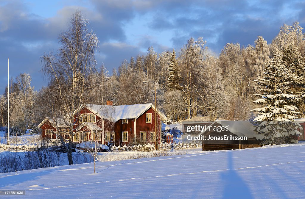 Sueco idílica rojo contra un bosque de invierno