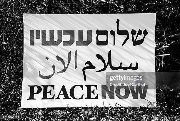 peace now sign in hebrew, arabic, and english - arabic alphabet stock pictures, royalty-free photos & images