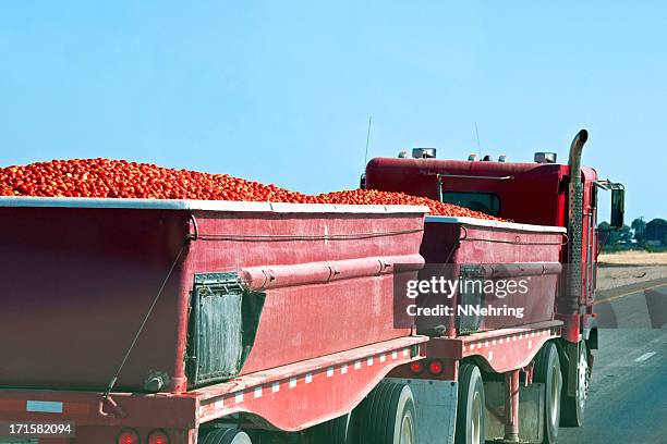 tomato harvest being hauled to cannery by truck - food transportation stock pictures, royalty-free photos & images