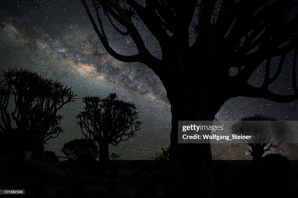 Quiver trees and the Milky Way